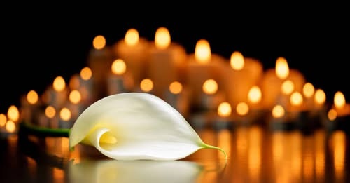 In Loving Memory of Matheus Oliveira