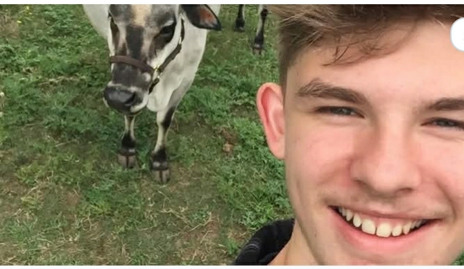 In Loving Memory of Maxwell Henley