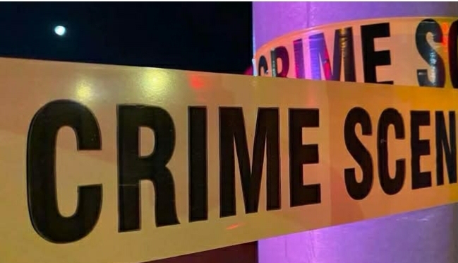 In Loving Memory of Geraldine Irene McLeod